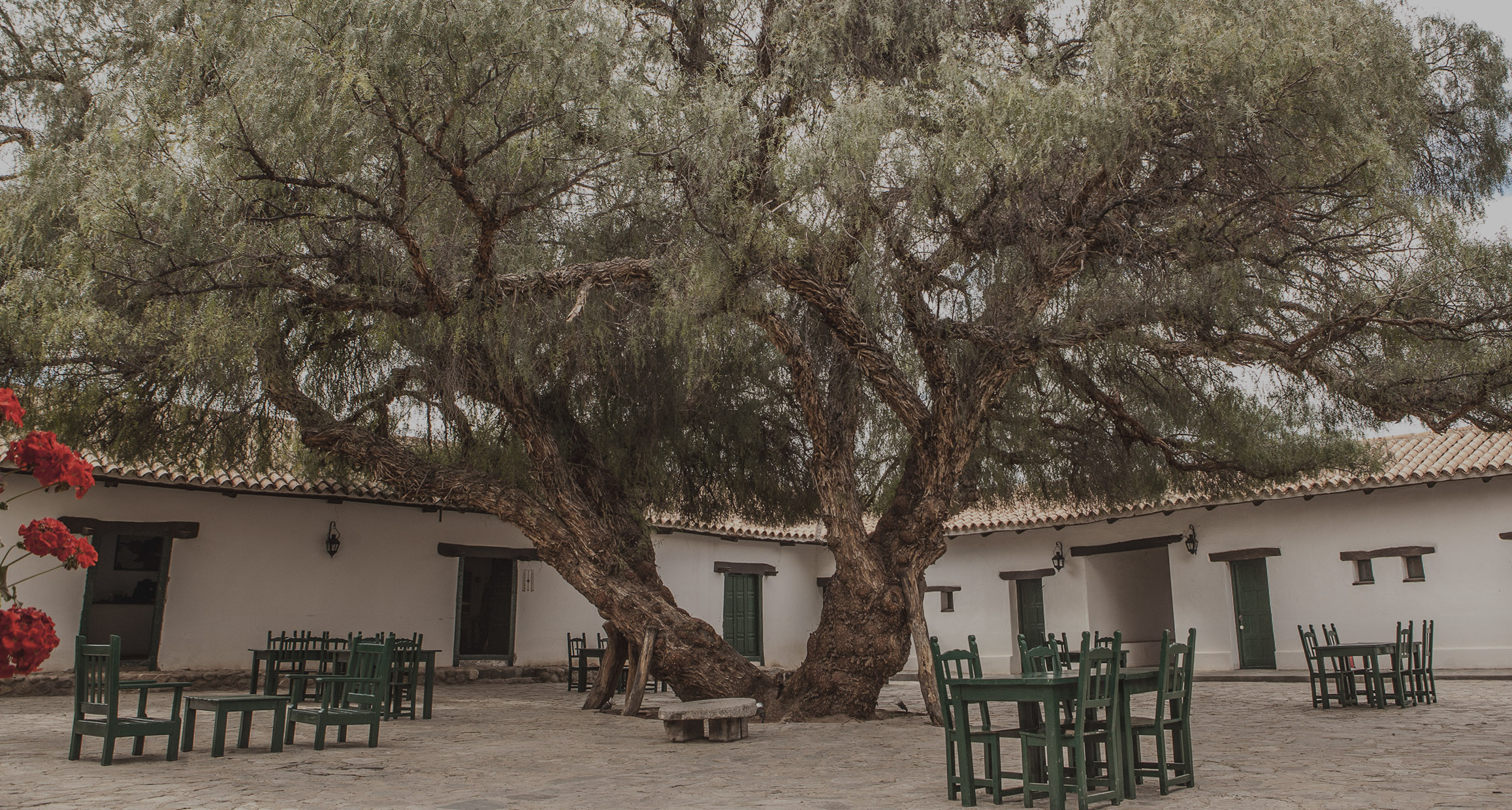 hacienda de molinos